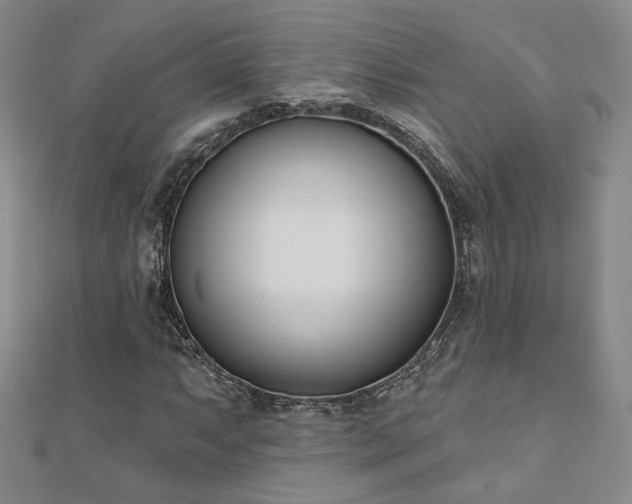 X0000110901063200906181318