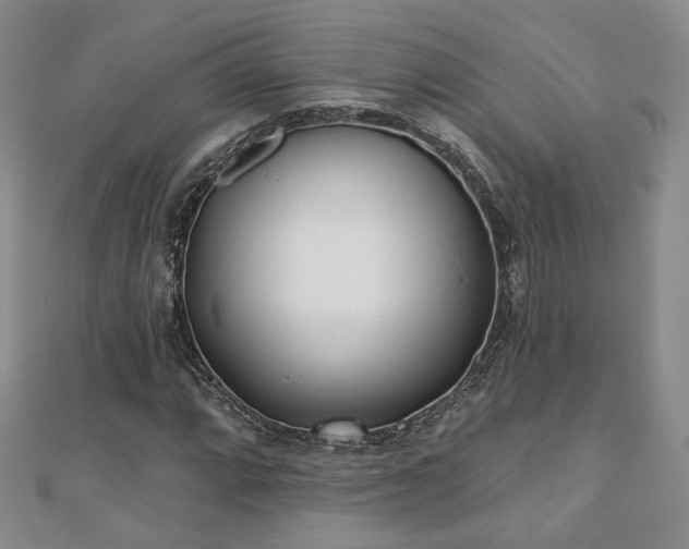 X0000110901064200906181318