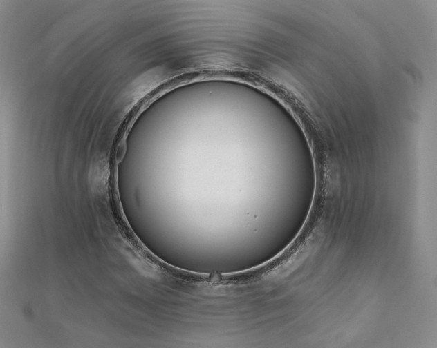 X0000110901065200906181318