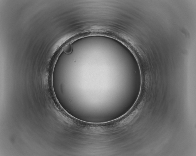 X0000110901066200906181318