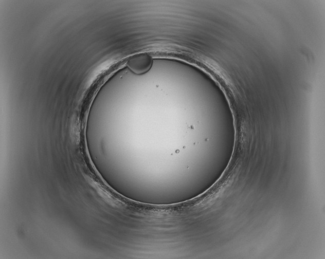 X0000110901067200906181318