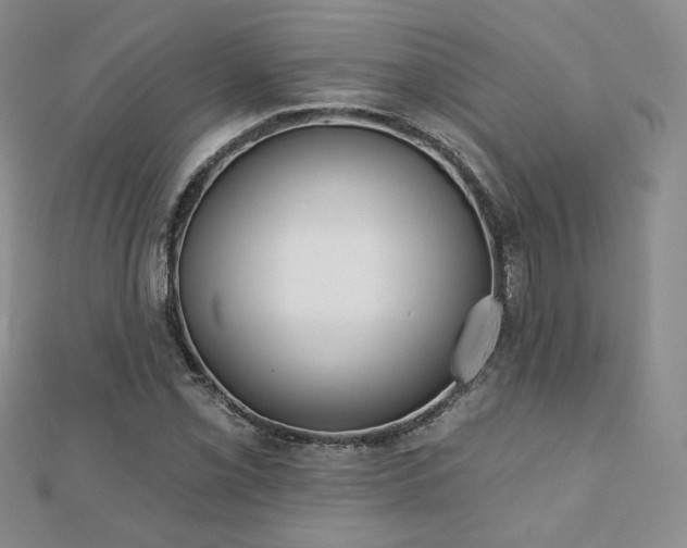 X0000110901069200906181318