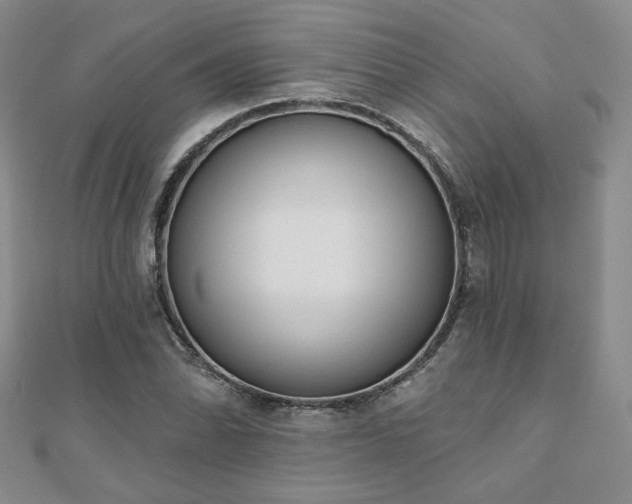 X0000110901070200906181318