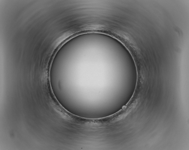 X0000110901073200906181318