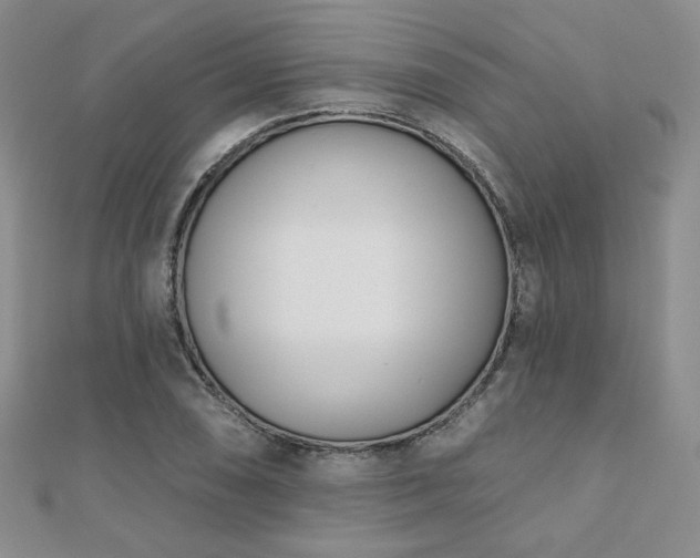 X0000110901074200906181318