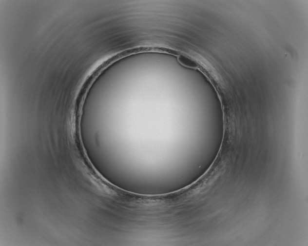 X0000110901076200906181318