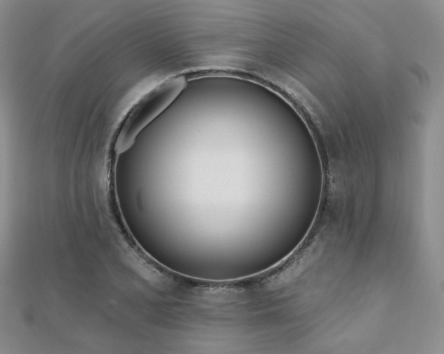 X0000110901077200906181318