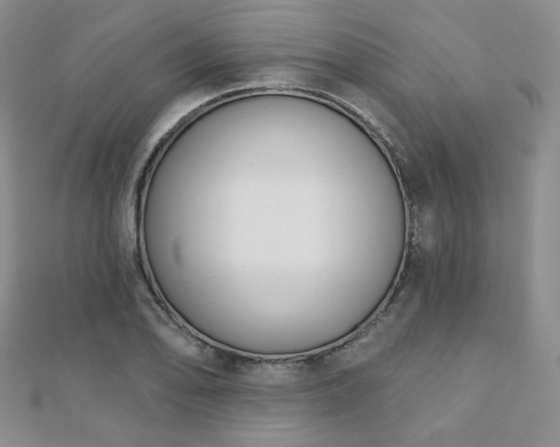 X0000110901078200906181318
