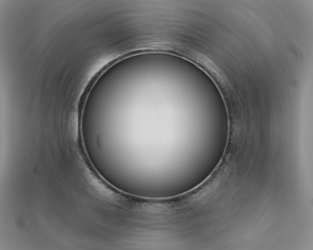 X0000110901079200906181318