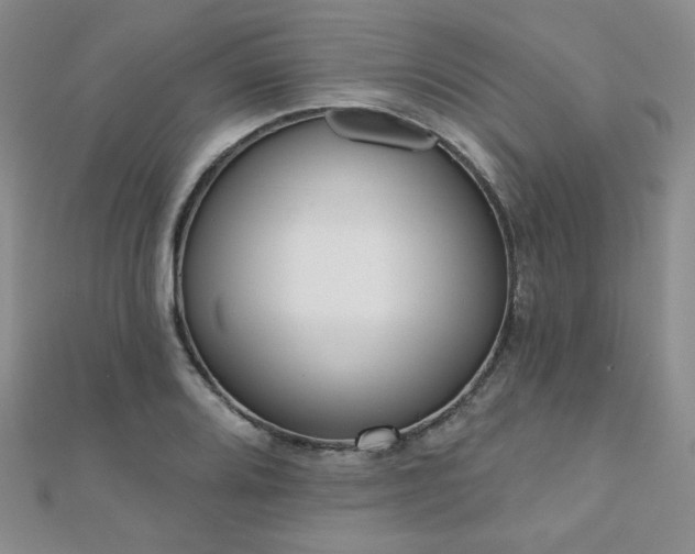 X0000110901080200906181318