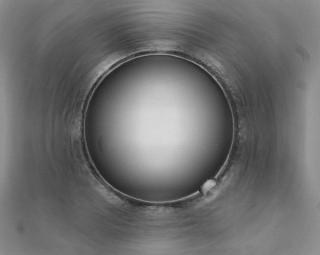 X0000110901081200906181318