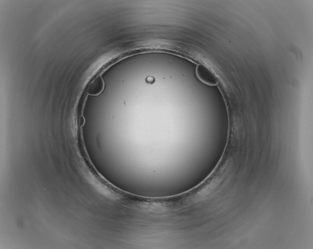 X0000110901082200906181318