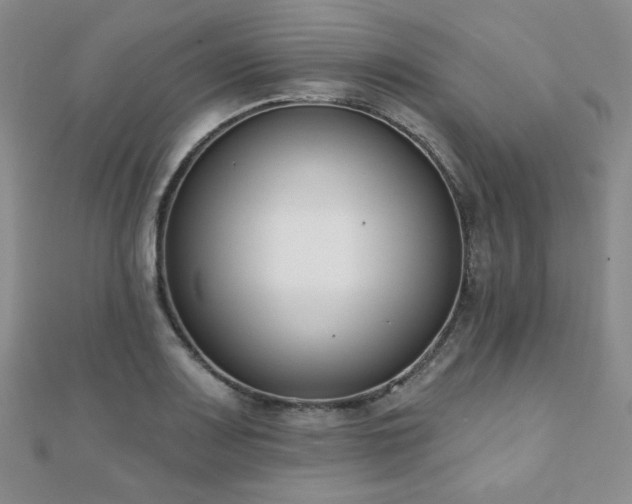 X0000110901083200906181318