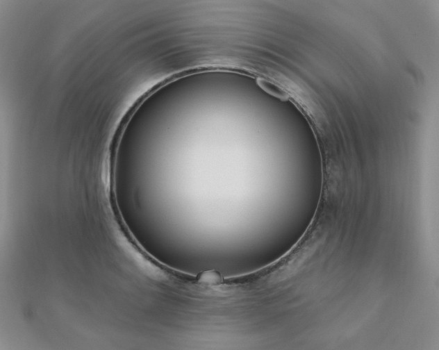 X0000110901084200906181318