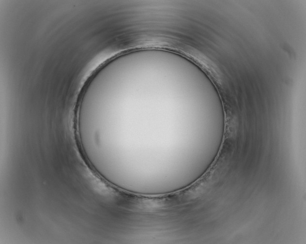 X0000110901086200906181318