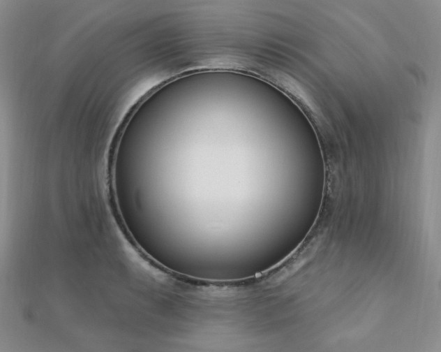 X0000110901087200906181318
