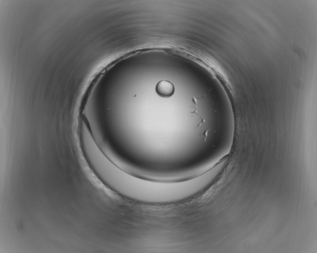 X0000110901088200906181318