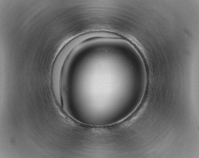X0000110901089200906181318
