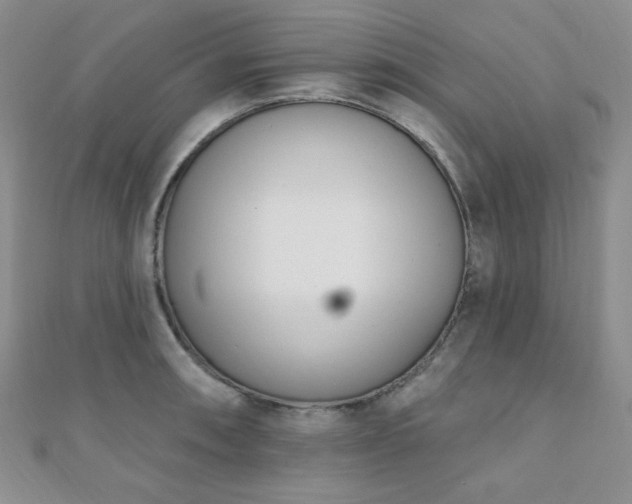 X0000110901090200906181318