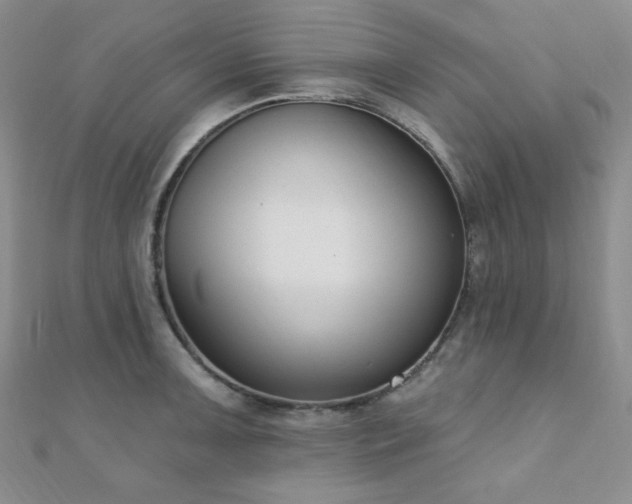 X0000110901091200906181318