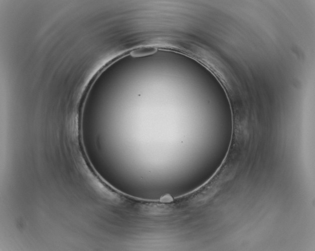 X0000110901092200906181318