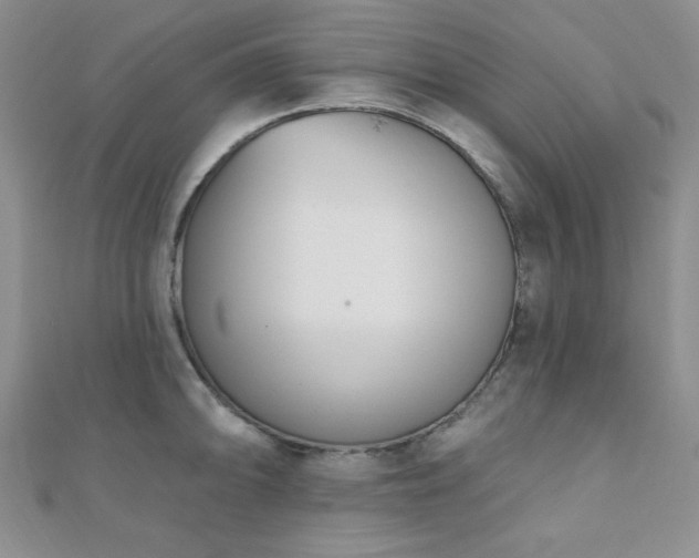 X0000110901094200906181318