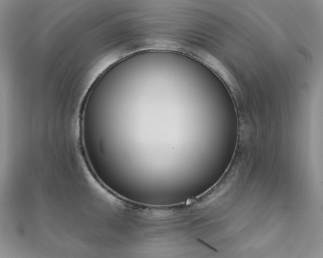 X0000110901095200906181318