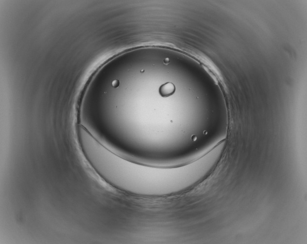 X0000110901096200906181318