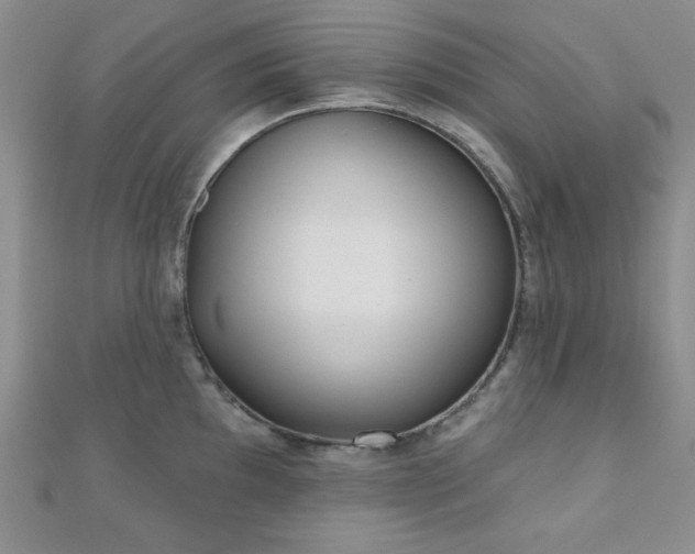 X0000110901097200906181318