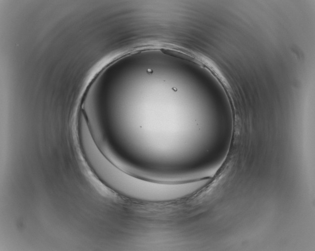 X0000110901098200906181318