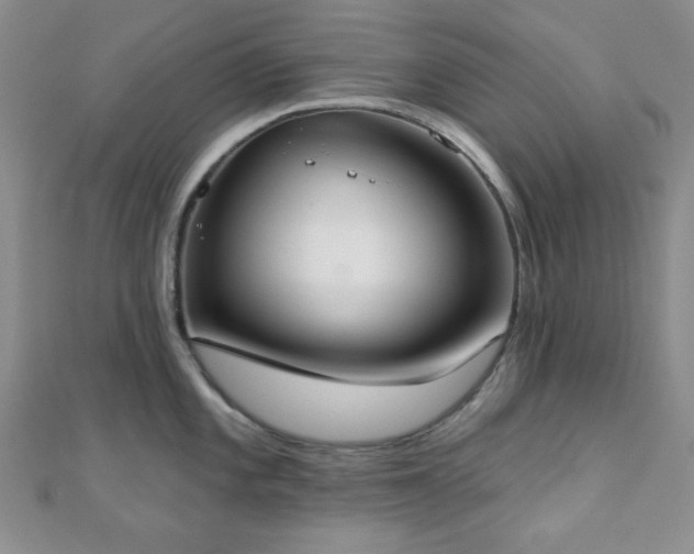 X0000110901101200906181317