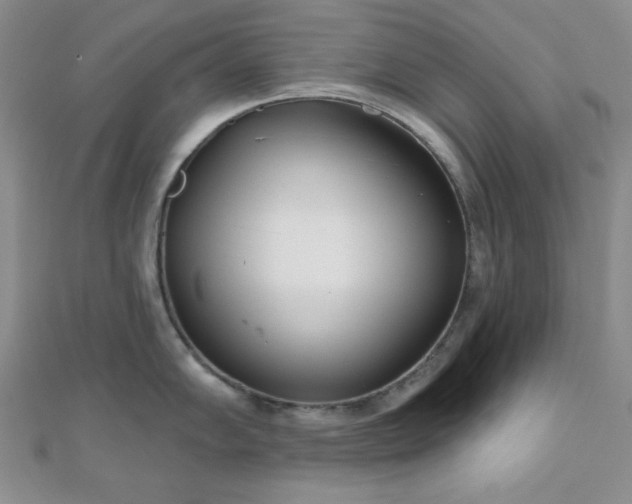 X0000110901102200906181317
