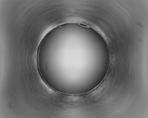 X0000110901103200906181317