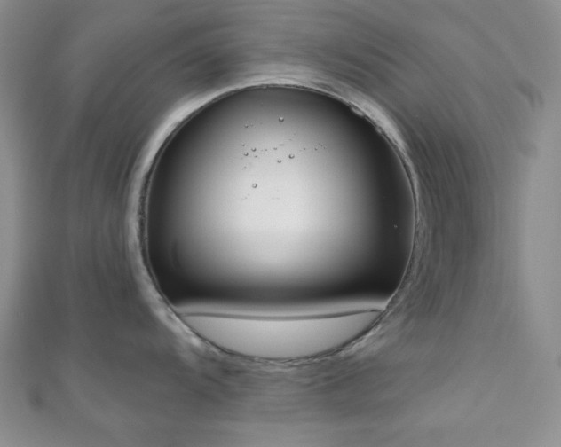 X0000110901104200906181317