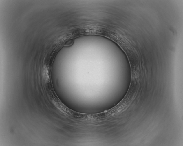 X0000110901106200906181317