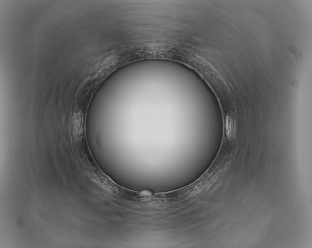 X0000110901107200906181317