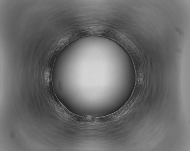 X0000110901108200906181317