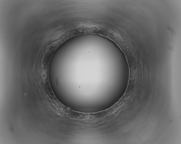 X0000110901109200906181317
