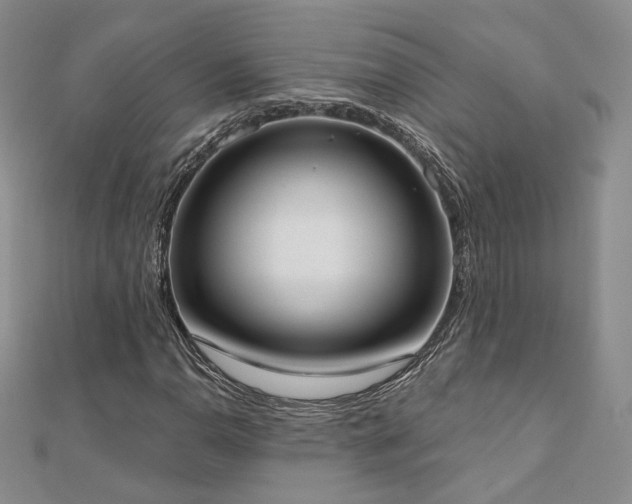 X0000110901110200906181317