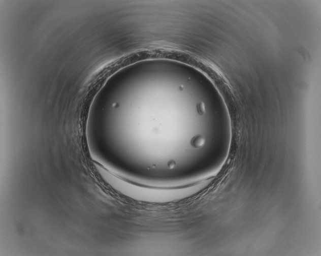 X0000110901112200906181317