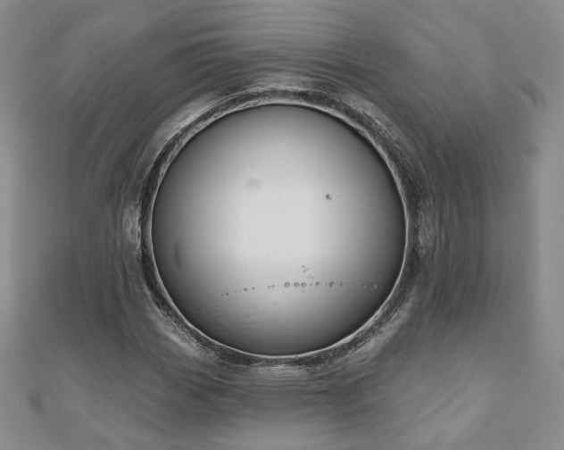 X0000110901113200906181317