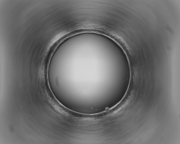 X0000110901114200906181317