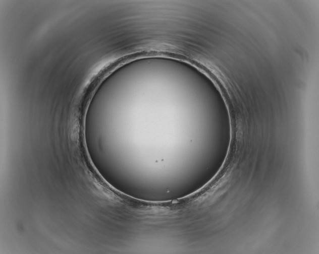 X0000110901115200906181317