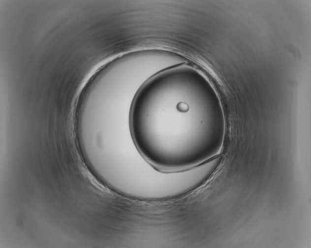 X0000110901116200906181317