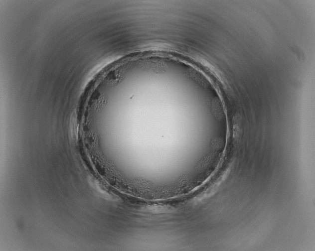 X0000110901117200906181317