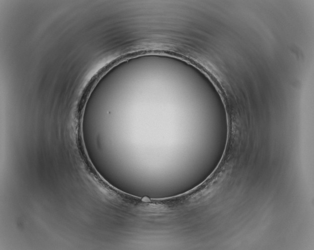 X0000110901119200906181317