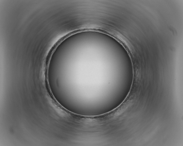 X0000110901124200906181317