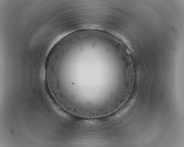 X0000110901125200906181317