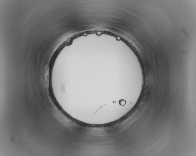 X0000110901126200906181317
