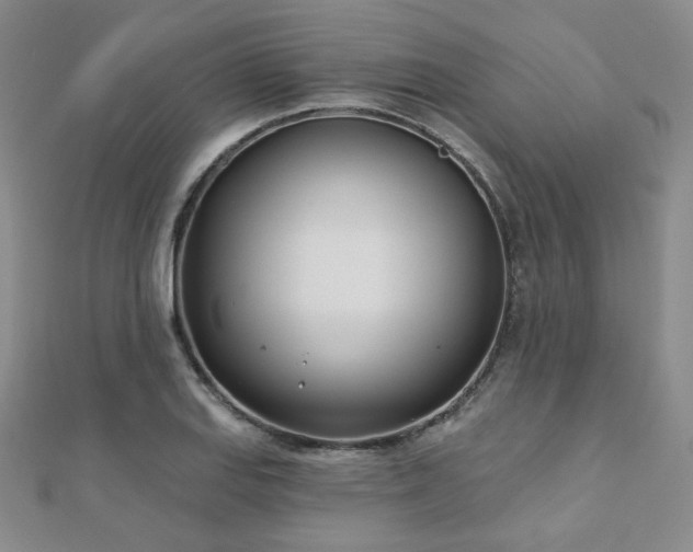 X0000110901127200906181317
